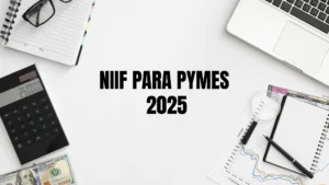 NIIF PARA PYMES 2025 - HUB FINANCIERO